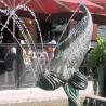images/Schweden/Schweden 2009/IMG_4436.jpg